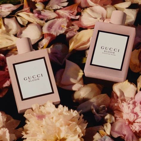 gucci bloom giá bao nhiều|bst gucci hoa.